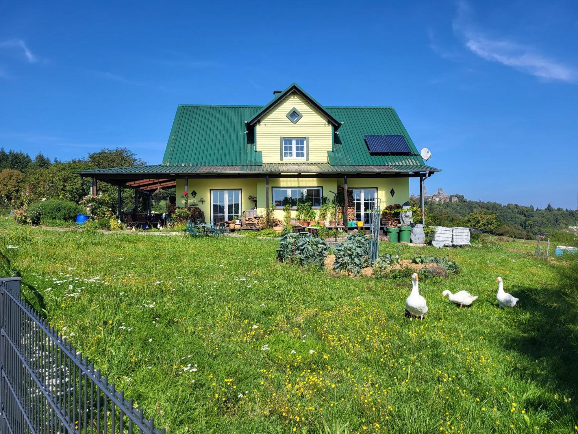 Kleine Einzigartige Ferienwohnung Auf Dem Bauernhof, Direkt In Der Natur Mit Blick Auf Schloss برونفلس المظهر الخارجي الصورة