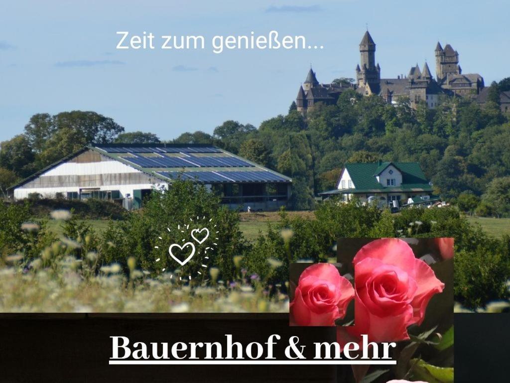 Kleine Einzigartige Ferienwohnung Auf Dem Bauernhof, Direkt In Der Natur Mit Blick Auf Schloss برونفلس المظهر الخارجي الصورة
