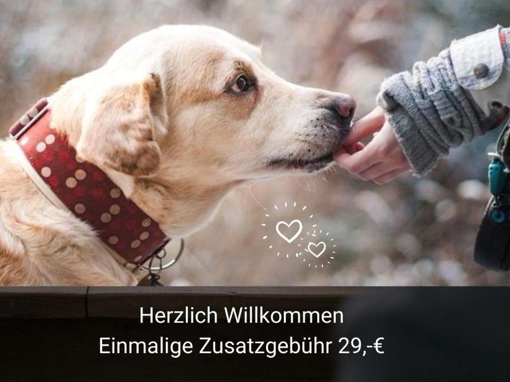 Kleine Einzigartige Ferienwohnung Auf Dem Bauernhof, Direkt In Der Natur Mit Blick Auf Schloss برونفلس المظهر الخارجي الصورة